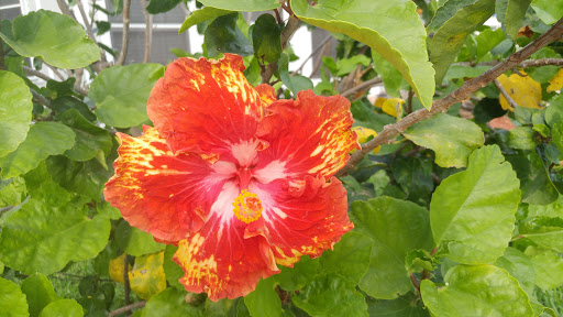 Golf Course «River Bend Resort & Golf Club», reviews and photos, 4541 US-281, Brownsville, TX 78520, USA