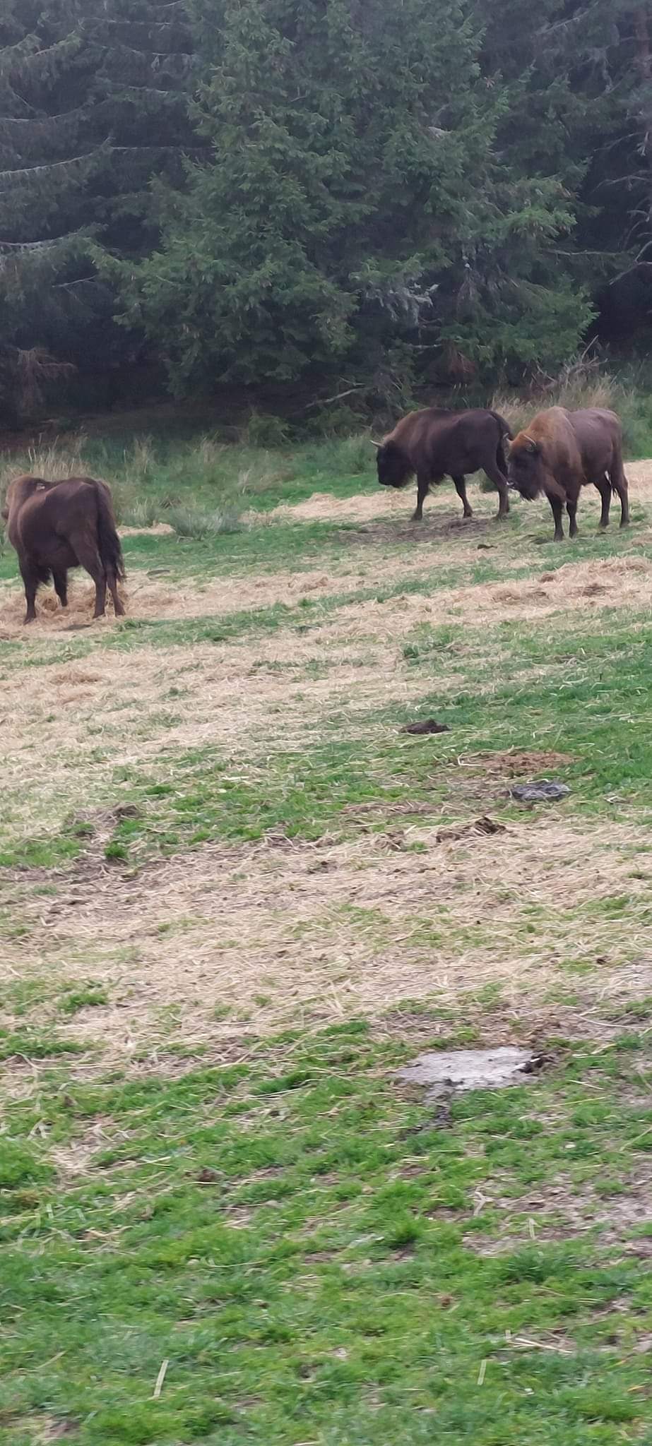 Photo n° 4 de l'avis de Thierry.L fait le 04/11/2022 à 12:54