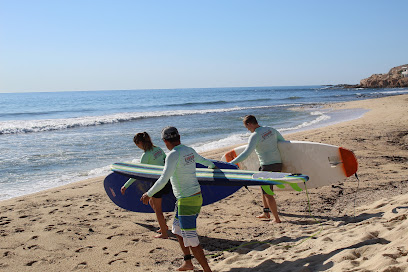 Surf Lesson's and Surfboard Rental's