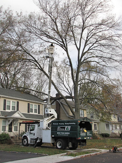 Rich Tree Service, Inc.