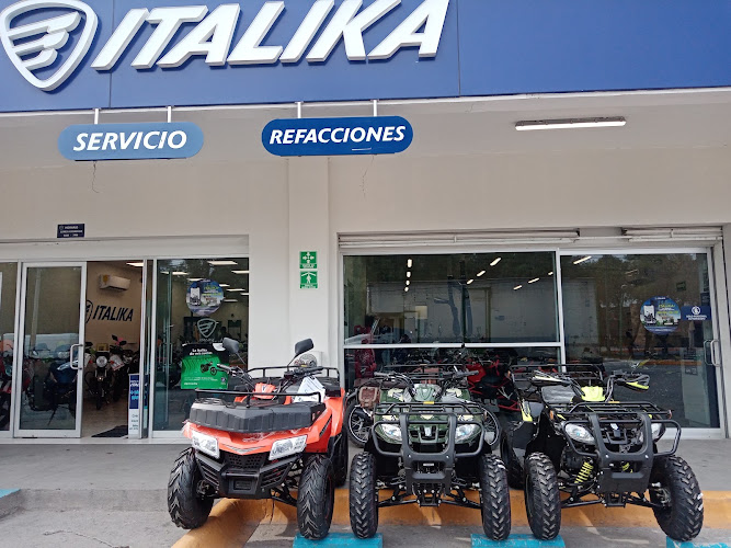 Centro de servicio ITALIKA/ CESIT 7101