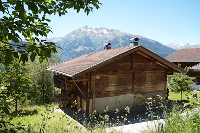 Hoiz Alm - Urige Hütte mit Bergblick mieten
