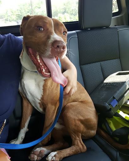 Pet Supply Store «PetSmart», reviews and photos, 2000 Clements Bridge Rd, Woodbury, NJ 08096, USA