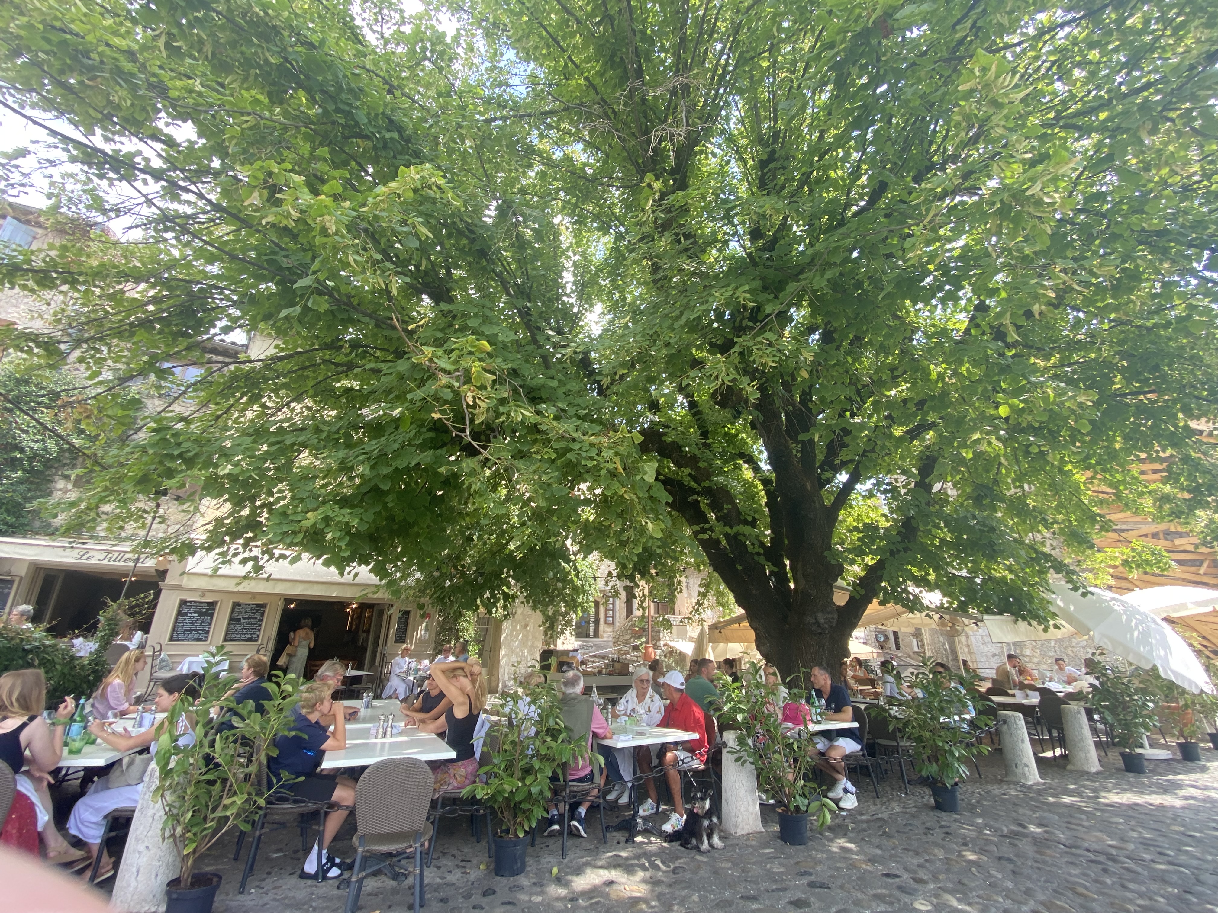 Photo n° 10 de l'avis de Maik.r fait le 29/07/2023 à 13:48