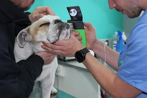 Veterinary Clinic Salvé image