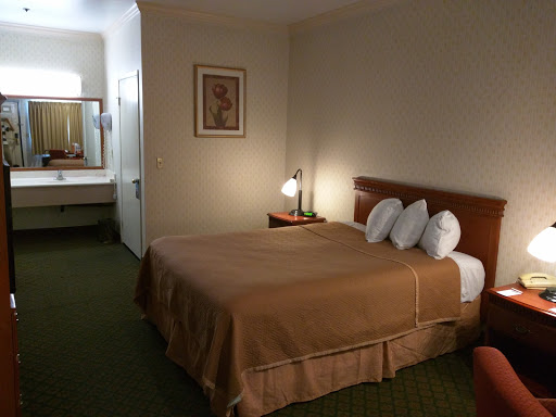 Travelodge by Wyndham Lynwood image