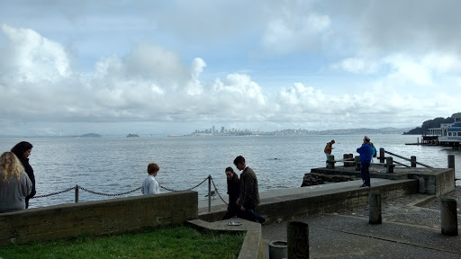 Novelty Store «Sausalito Ferry Co. Novelty Toy and Gift Store», reviews and photos, 688 Bridgeway, Sausalito, CA 94965, USA