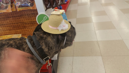 Pet Supply Store «Petco Animal Supplies», reviews and photos, 12163 Sheridan Blvd, Broomfield, CO 80020, USA