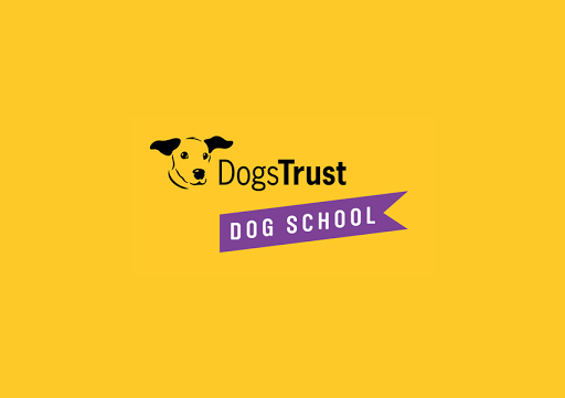 Dogs Trust Dog School - Leicestershire
