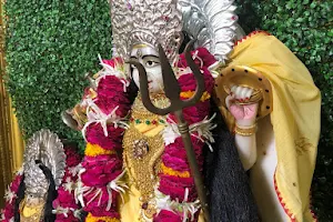 Vahanvati Mata Mandir image