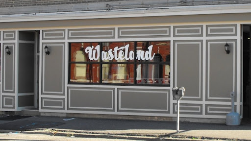 Wasteland Gift Shop, 137 Water St, Torrington, CT 06790, USA, 