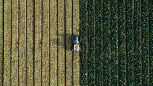 L.A. Drones image