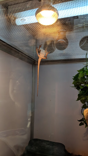 Pet Supply Store «Pet Supermarket», reviews and photos, 99 Eglin Pkwy NE #32a, Fort Walton Beach, FL 32548, USA