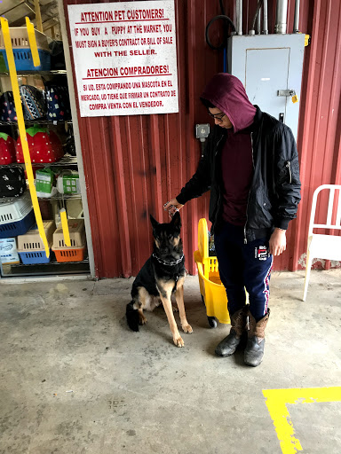 Pet Store «Tri-Creek Kennels», reviews and photos, 5641 US-129, Pendergrass, GA 30567, USA