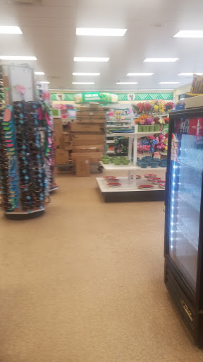 Dollar Store «Dollar Tree», reviews and photos, 2239 N Morton St a, Franklin, IN 46131, USA