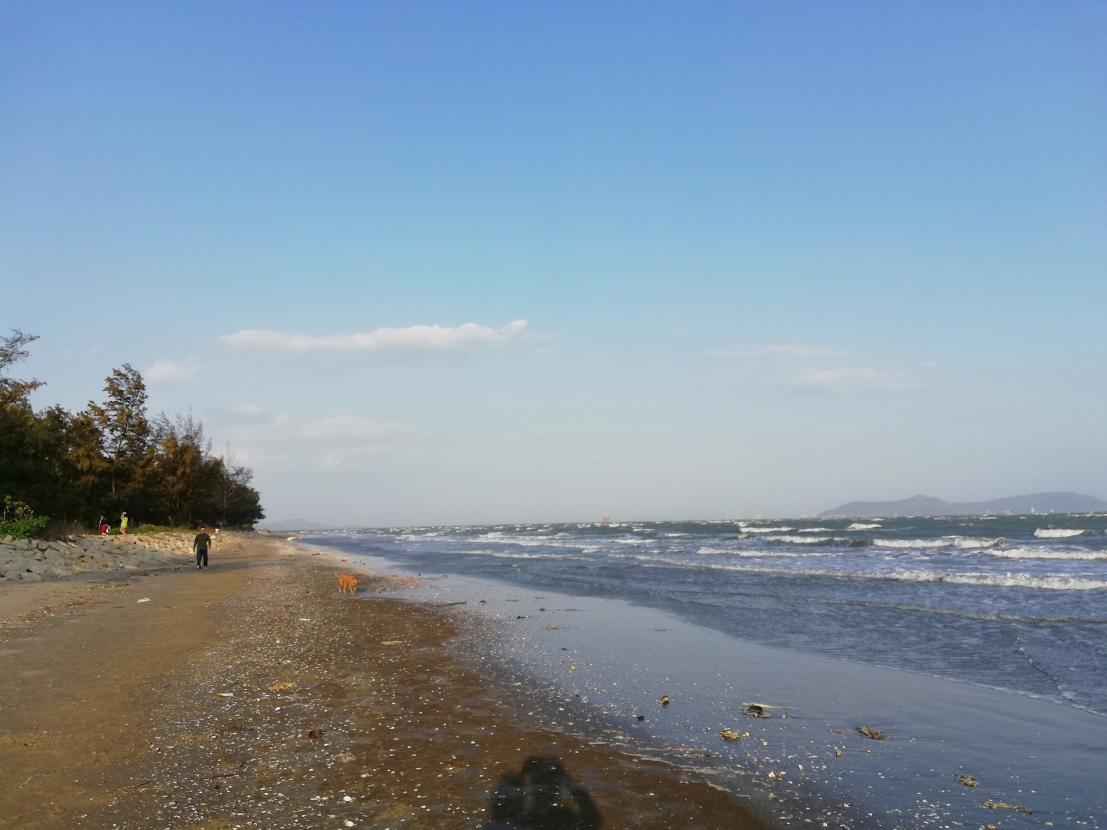 Foto av Can Gio Beach med turkosa vatten yta