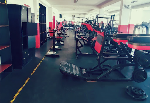 Rudo's Gym