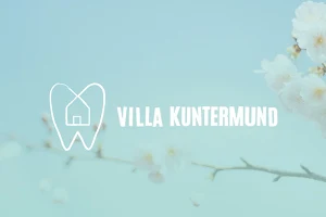Villa Kuntermund image