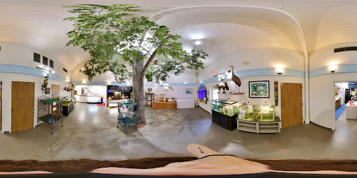 Park «George C. McGough Nature Park - The Narrows», reviews and photos, 11901 146th St N, Largo, FL 33774, USA