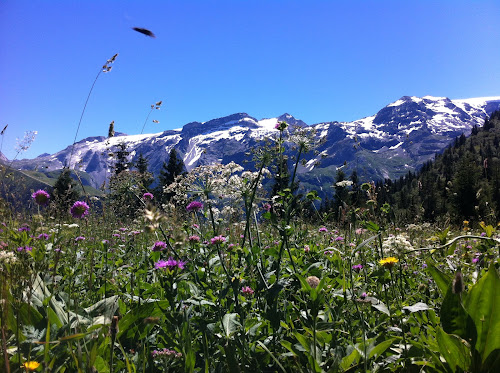 Centrale de réservation - Pralognan la Vanoise - à Pralognan-la-Vanoise