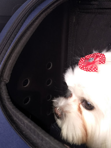 Shopping Mall «Country Hills Shopping Center», reviews and photos, 2905 Rolling Hills Rd, Torrance, CA 90505, USA