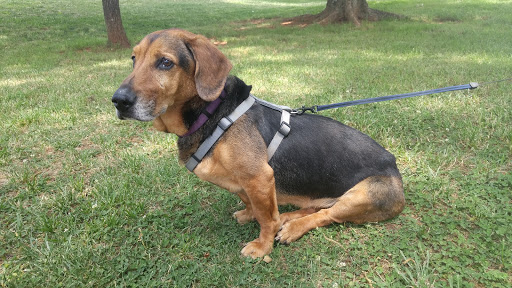 Park «Swift Cantrell Park», reviews and photos, 3140 Old 41 Hwy NW, Kennesaw, GA 30144, USA