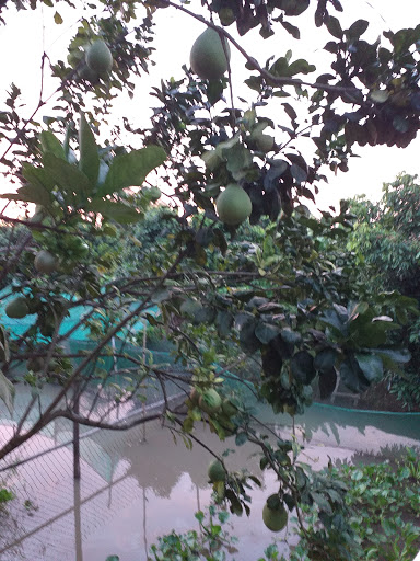 Top 13 cửa hàng kim giáp Huyện Trà Ôn Vĩnh Long 2022