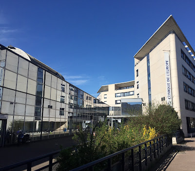 Docteur Julien Synave à Rouen