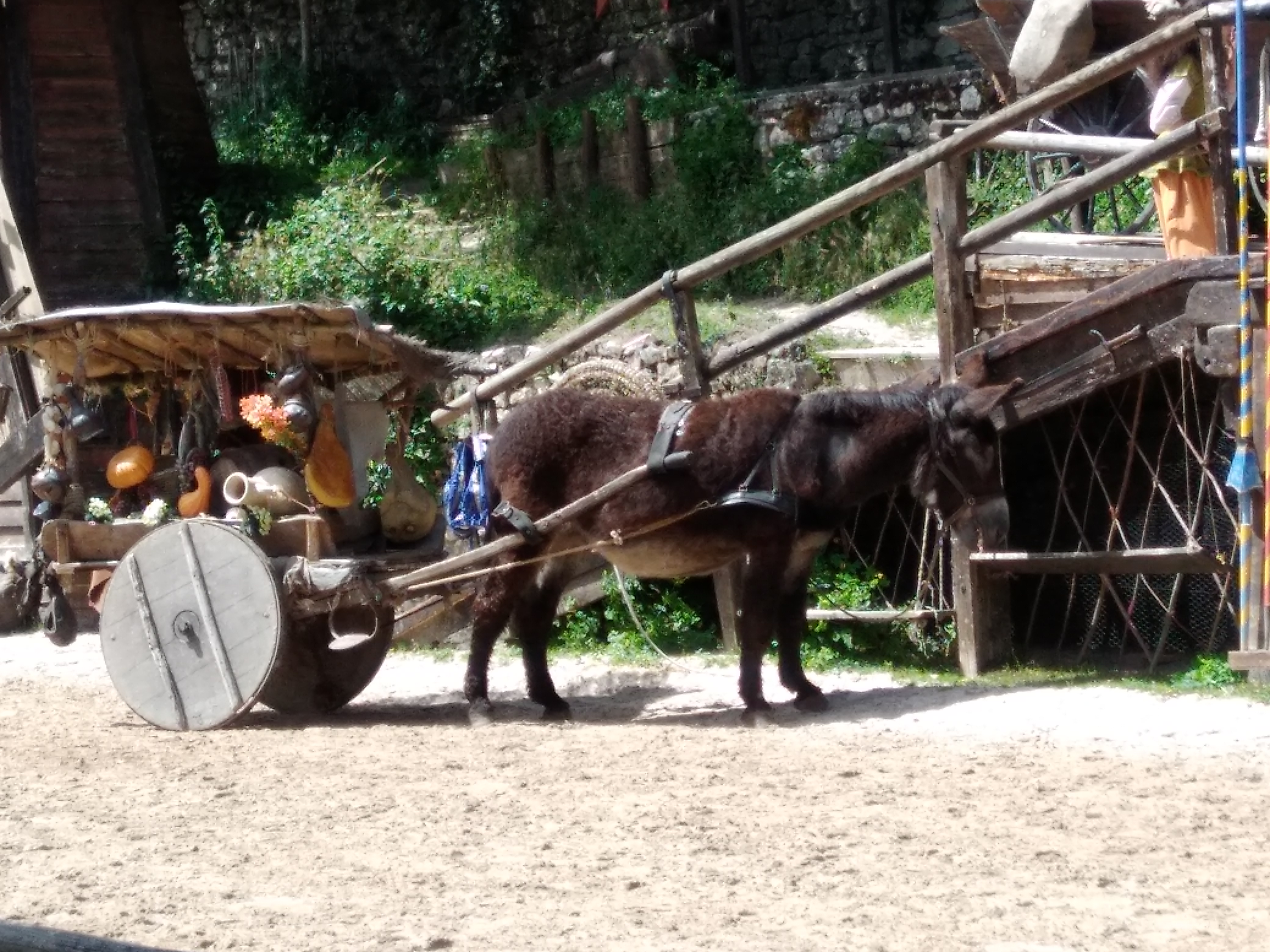 Photo n° 8 de l'avis de helice. fait le 17/06/2019 à 14:45
