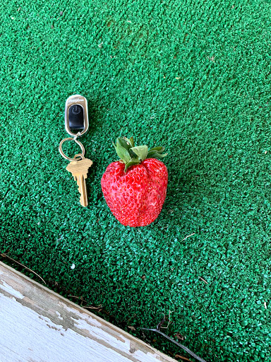 Fruit and Vegetable Store «Henley Farm», reviews and photos, 3513 Charity Neck Rd, Virginia Beach, VA 23456, USA