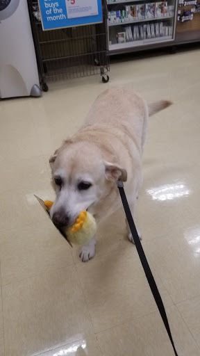 Pet Supply Store «Petco Animal Supplies», reviews and photos, 210 Franklin Rd #300, Brentwood, TN 37027, USA