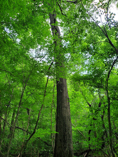 Medical Clinic «McLeod Health & Fitness Center», reviews and photos, 2437 Willwood Dr, Florence, SC 29501, USA