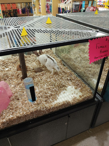 Pet Supply Store «Your Pet Experts», reviews and photos, 1665 State Hill Rd #490, Wyomissing, PA 19610, USA