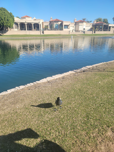 Shopping Mall «Mercado Del Lago Mall», reviews and photos, 8320 N Hayden Rd, Scottsdale, AZ 85258, USA