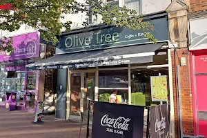 Olive Tree image