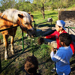 Photo n°1 de l'avis de martin.o fait le 29/08/2019 à 23:21 sur le  La Fattoria di Valentino à Frattocchie