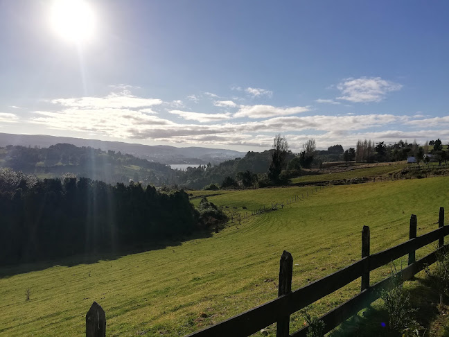 Arrayanes de Puyan - Cafetería