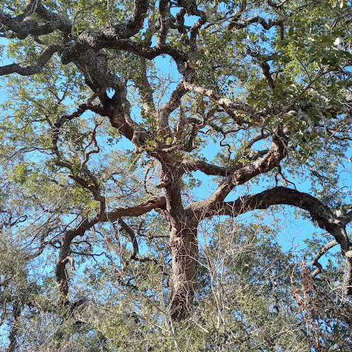 Nature Preserve «Jackson Nature Park», reviews and photos, 9284 County Rd 401, Stockdale, TX 78160, USA
