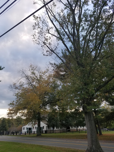 Park «Meadowbrook Local Park», reviews and photos, 7901 Meadowbrook Ln, Chevy Chase, MD 20815, USA