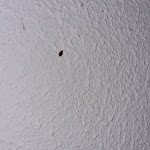 Photo n°2 de l'avis de Rafinha.i fait le 28/10/2023 à 14:56 sur le  Pensão Tarouca à Fundão