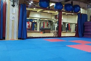 Raja's Martial arts & Fitness Gym image