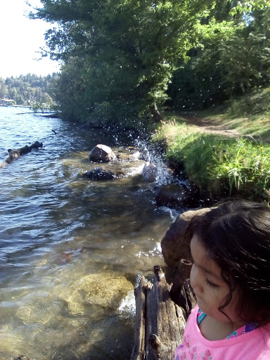 Park «Luther Burbank Park», reviews and photos, 2040 84th Ave SE, Mercer Island, WA 98040, USA