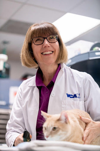 VCA TLC Pasadena Veterinary Specialty and Emergency image