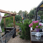 Photo n°4 de l'avis de Stefano.a fait le 20/05/2022 à 22:23 sur le  Azienda agricola “Difficile arrivarci” à Pietrasanta