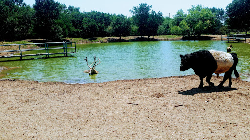 Ranch «Sharkarosa Wildlife Ranch», reviews and photos, 11670 Massey Rd, Pilot Point, TX 76258, USA