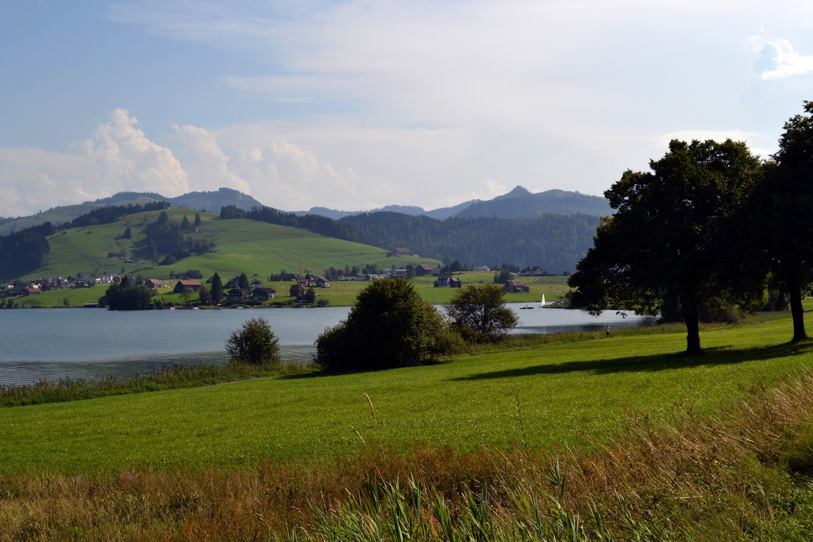 Einsiedeln Beach photo #6