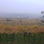 Photo n°1 de l'avis de Joan.o fait le 07/12/2018 à 08:57 sur le  Hotel Villa Moron à Negrar di Valpolicella