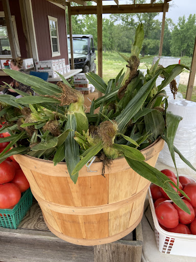 Tourist Attraction «Sugar Hill U-pick Farms», reviews and photos, 3595 Co Rd 59, Verbena, AL 36091, USA