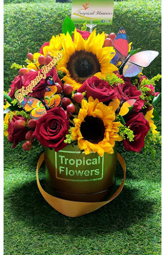 Opiniones de Tropical Flowers en Guayaquil - Floristería