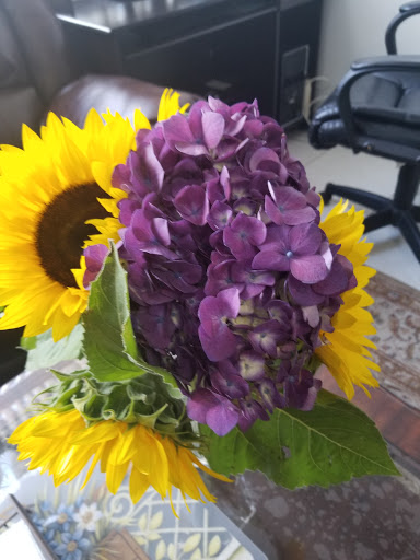 Florist «Flowers and Services», reviews and photos, 13750 Biscayne Blvd, North Miami Beach, FL 33181, USA